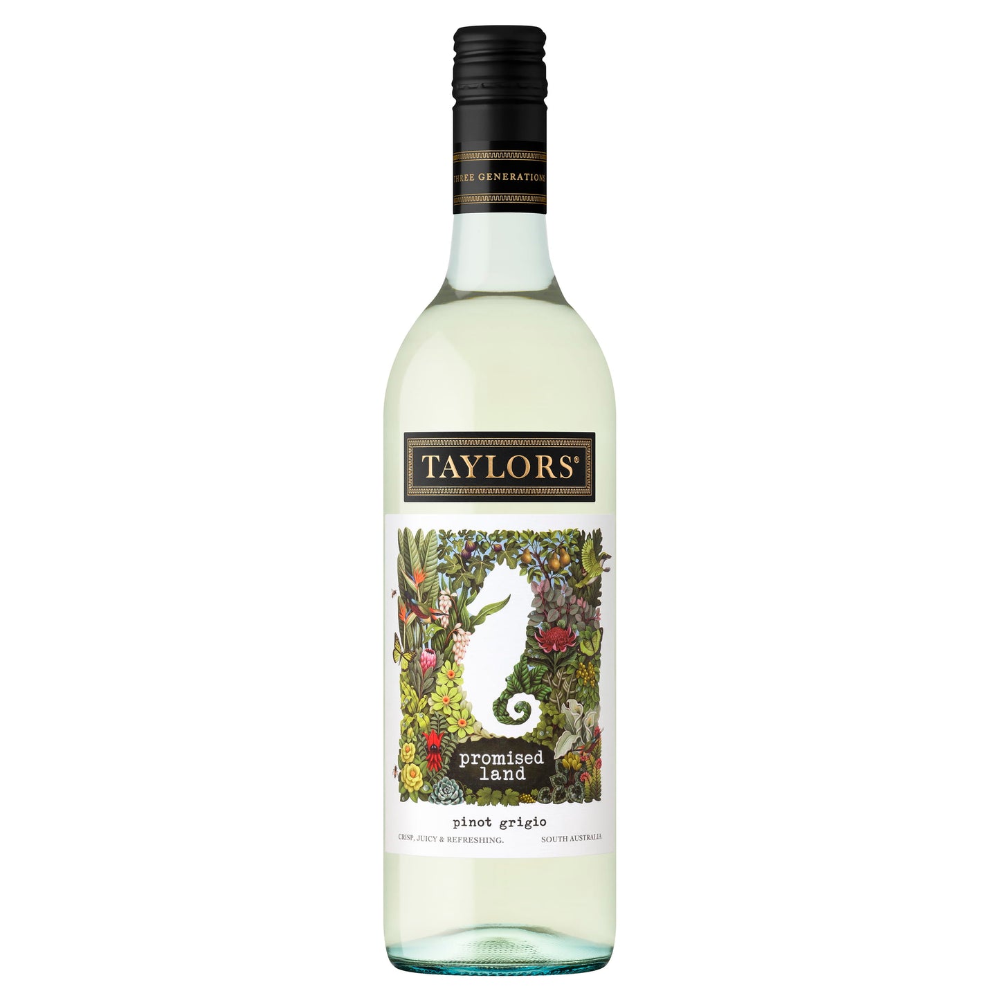 Taylors Promised Land Pinot Grigio