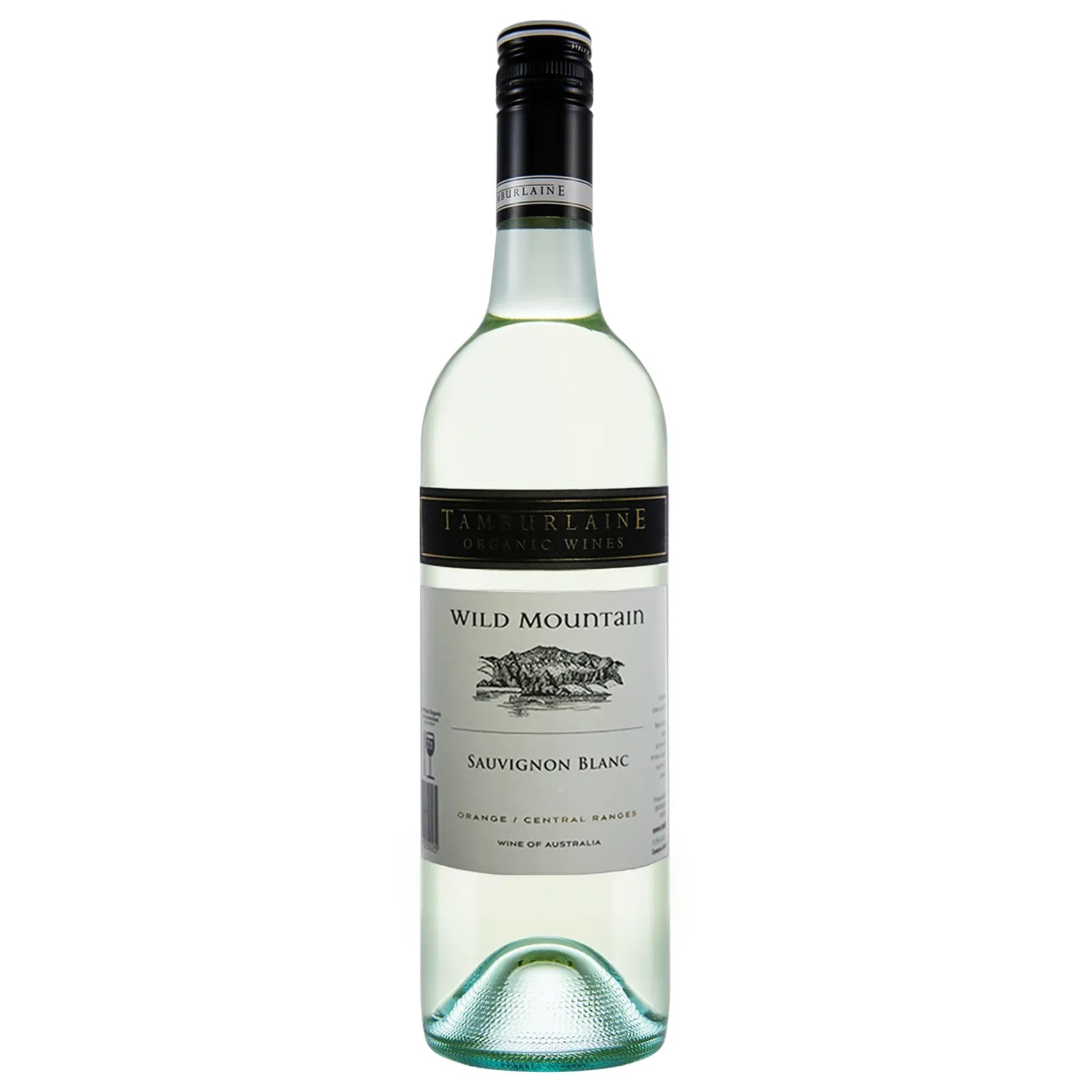 Wine bottle of Wild Mountain Sauvignon Blanc on a white background