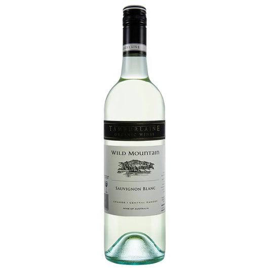 Wine bottle of Wild Mountain Sauvignon Blanc on a white background